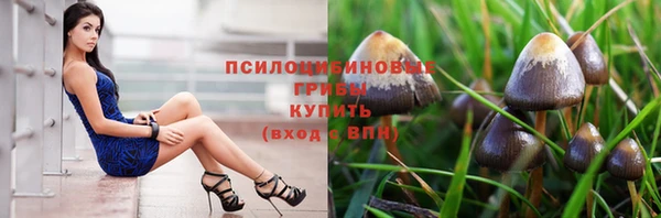 индика Абдулино