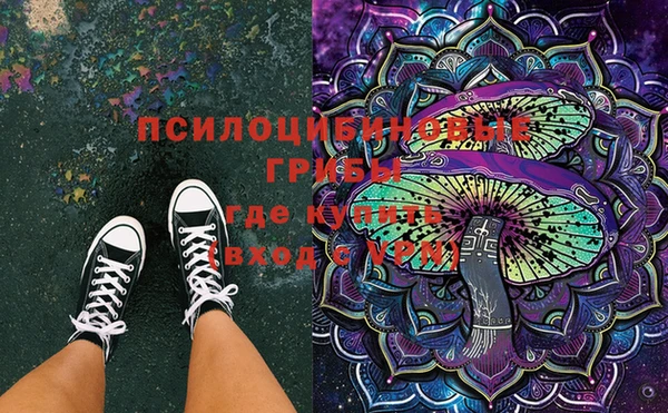 индика Абдулино