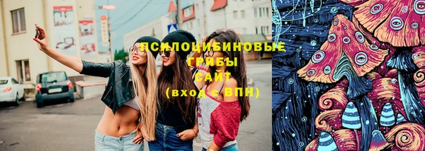 индика Абдулино