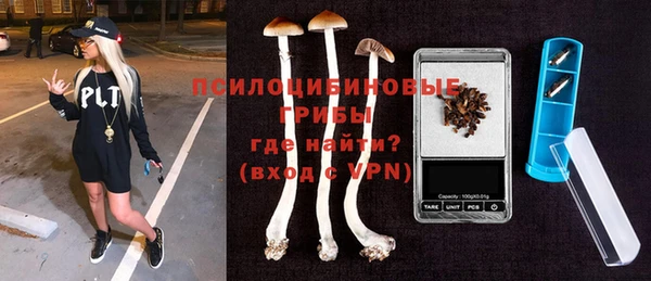 индика Абдулино