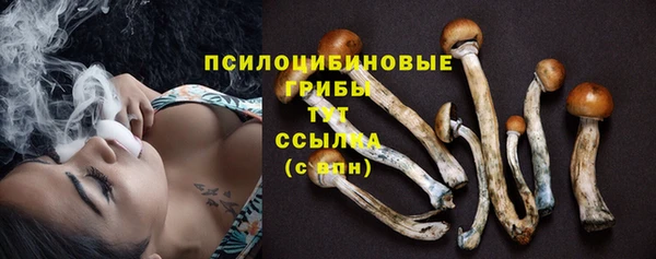 ГАЛЛЮЦИНОГЕННЫЕ ГРИБЫ Абинск